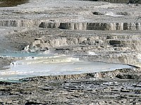 Yellowstone Mammoth Hotsprings (87).JPG